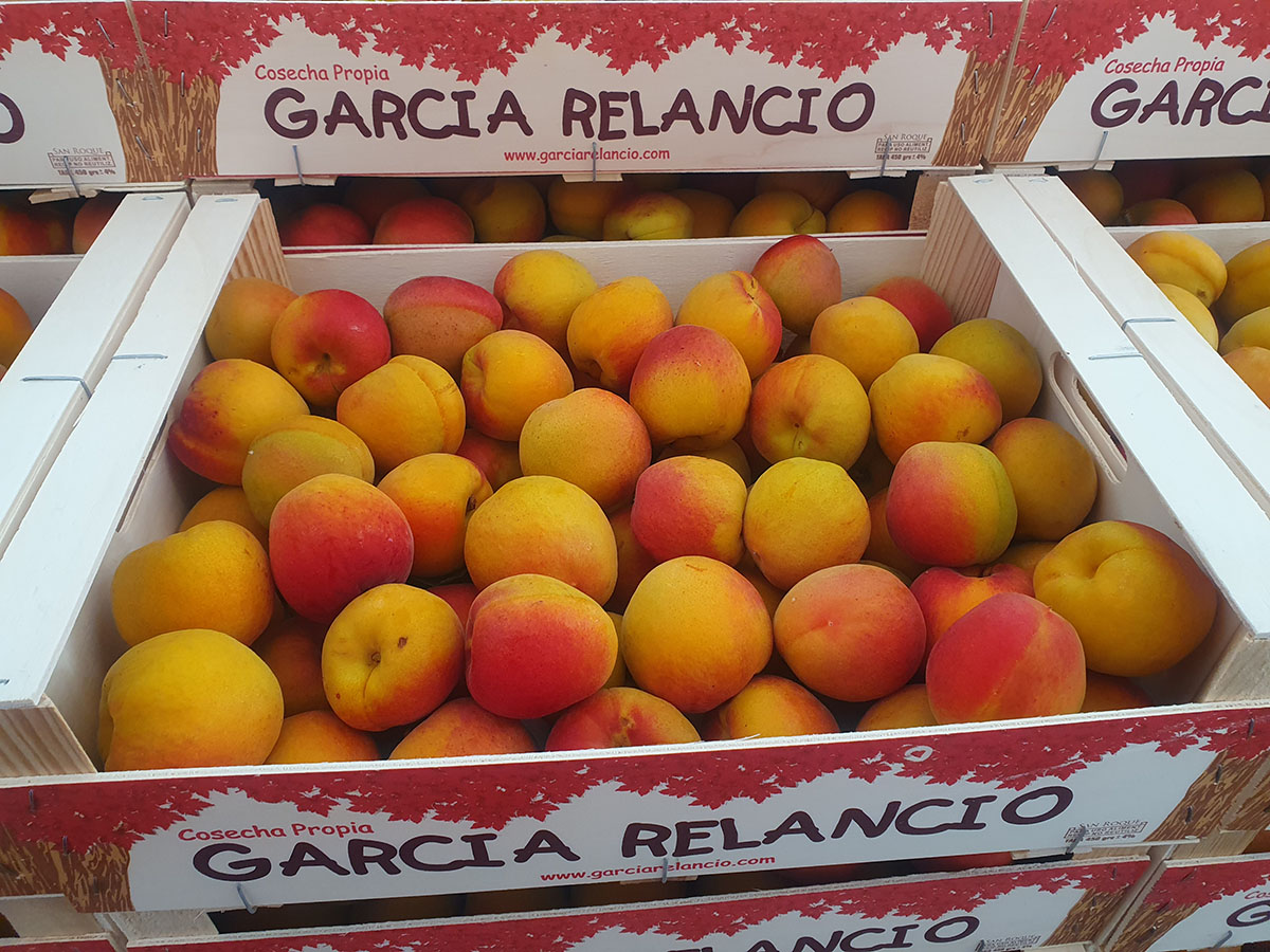 Albaricoques